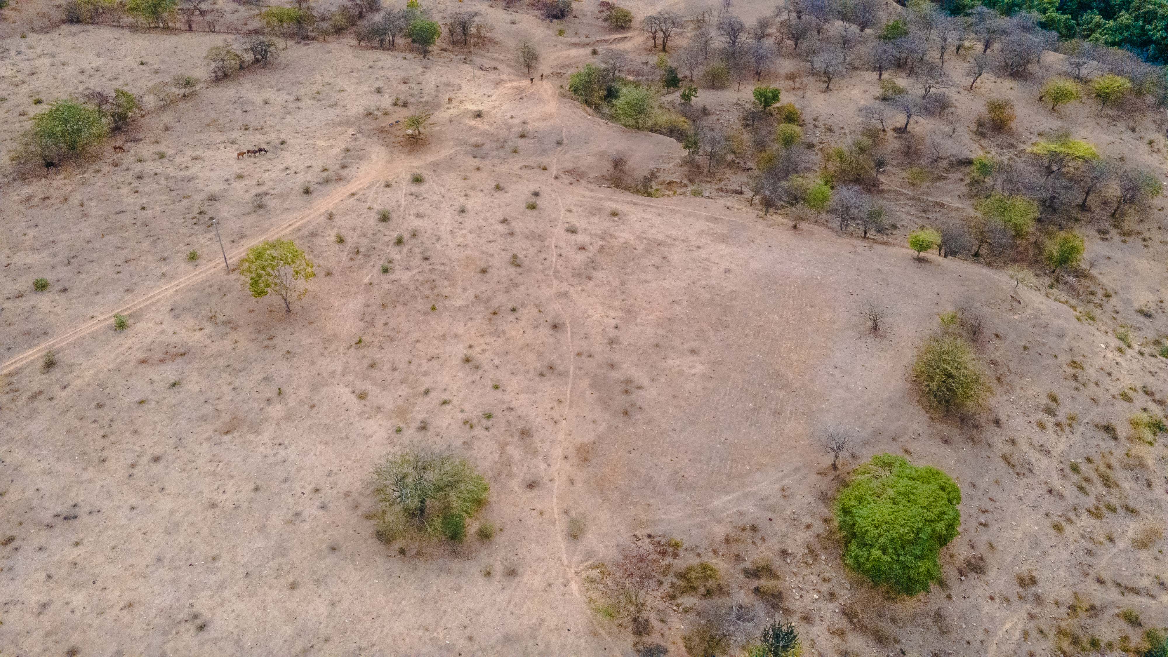 Paisaje de Zacapa, Guatemala